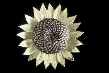 Sand-cast brass sunflower door knocker